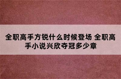 全职高手方锐什么时候登场 全职高手小说兴欣夺冠多少章